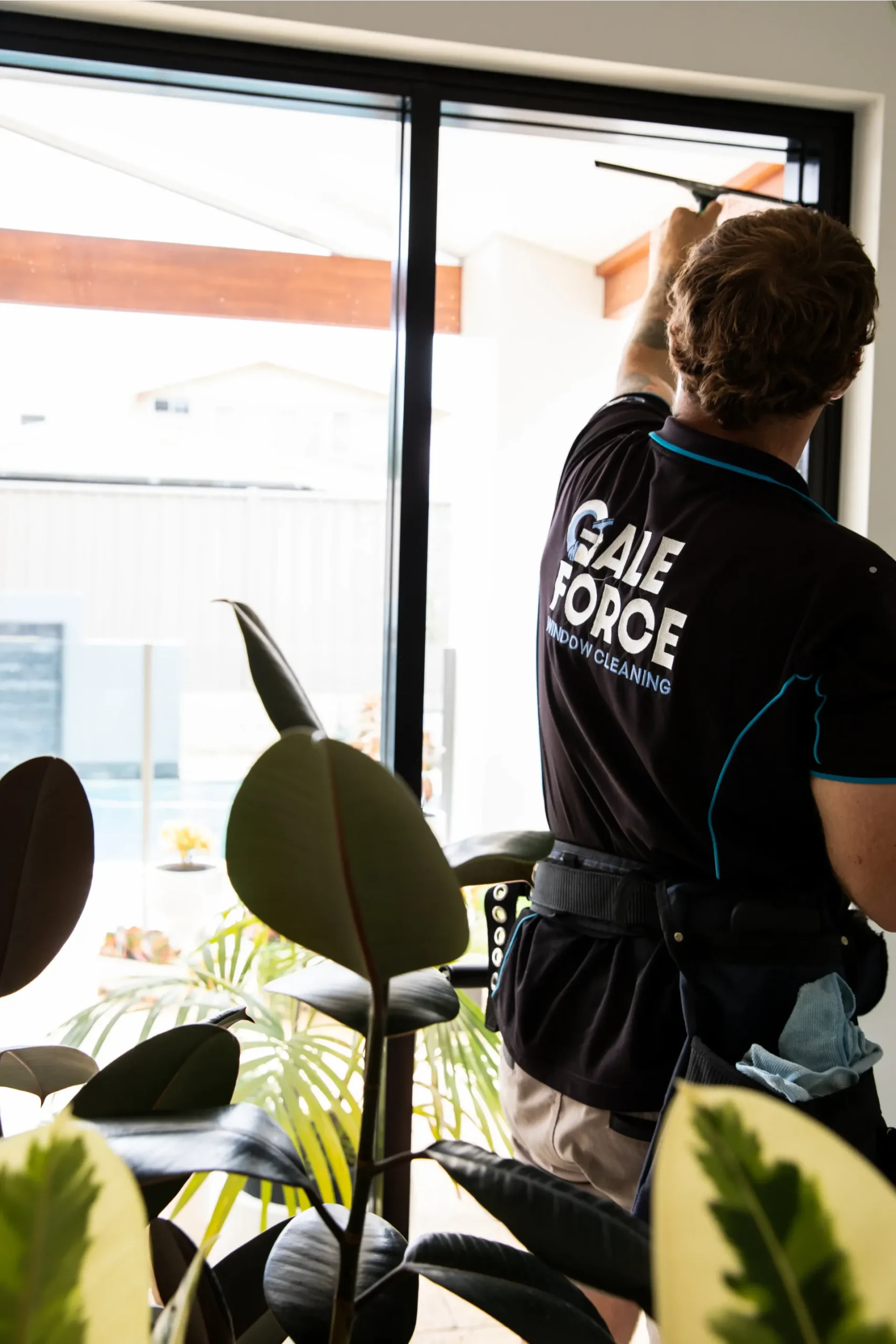 A person in a “Gale Force Window Cleaning” shirt cleans a large glass window indoors. Plants are in the foreground, and sunlight streams through the window.
